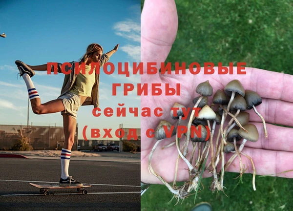 винт Абинск