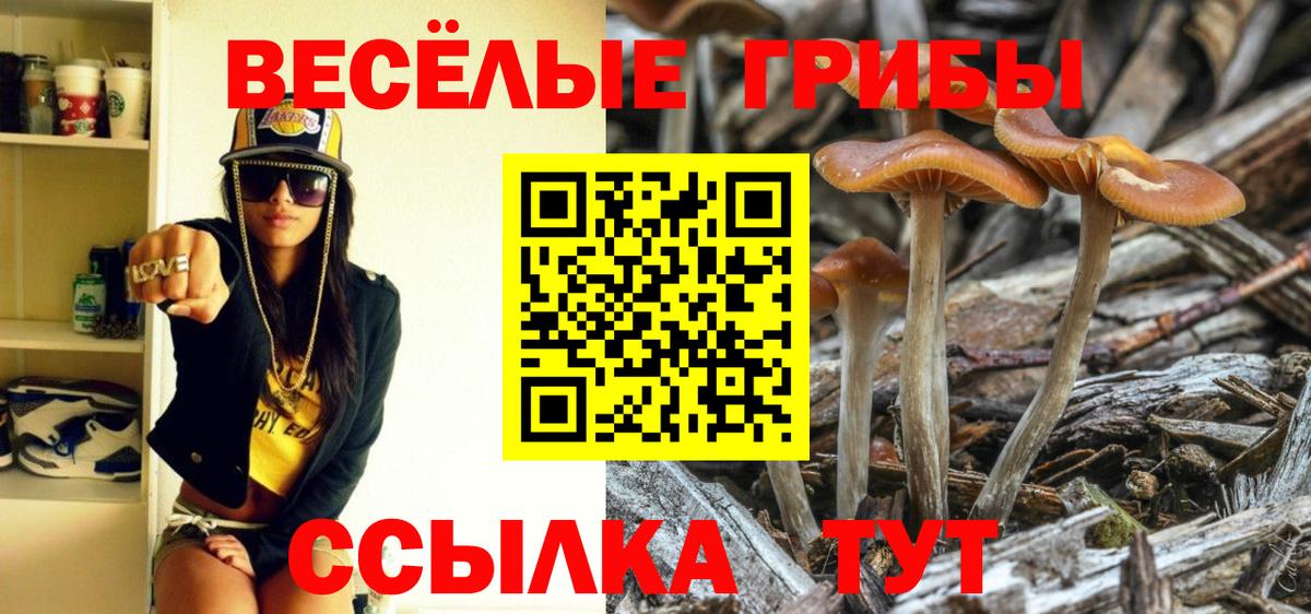 продажа наркотиков  Галлюциногенные грибы мицелий  Вход с VPN  Азов 